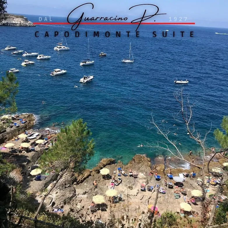Guarracino P. Capodimonte Suite Naples
